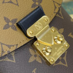 Louis Vuitton Camera Box M82465 Brown